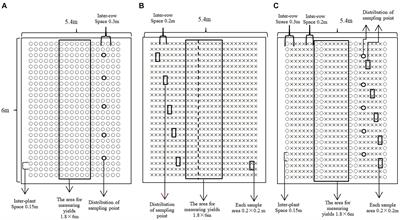 Effects of Applied Ratio of Nitrogen on the Light Environment in the Canopy and Growth, Development and Yield of Wheat When Intercropped